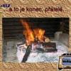 prase 2007 prezent