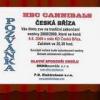 závěrečná2009 prezent